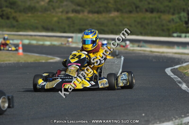 DSC (4020).JPG